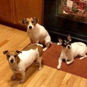 Meet your Posher, Cristina